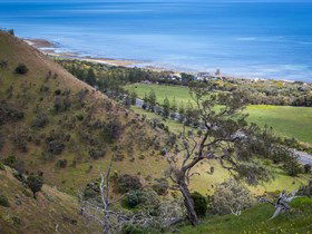 Lady Bay Beach - eAccommodation 1