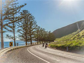 Lady Bay Beach - eAccommodation 2