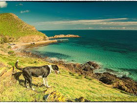 Second Valley Beach - eAccommodation 1
