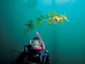 Rapid Bay Beach - eAccommodation 1