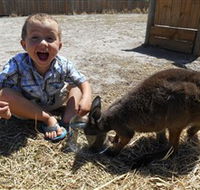 Animal Farm Goolwa - eAccommodation