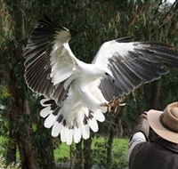 Raptor Domain - eAccommodation