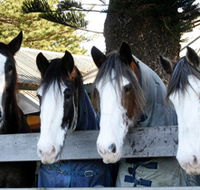 Victor Harbor Horse Drawn Tramway - eAccommodation