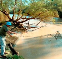 Charleville - Ward River Fishing Spot - eAccommodation