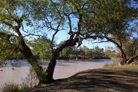Charleville - Bakers Bend Warrego River Fishing Spot - eAccommodation 1