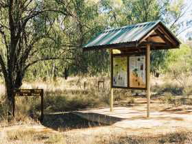  eAccommodation