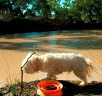 Charleville - 27 Mile Warrego River Fishing Spot - eAccommodation