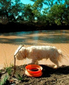 Charleville - 27 Mile Warrego River Fishing Spot - eAccommodation 0