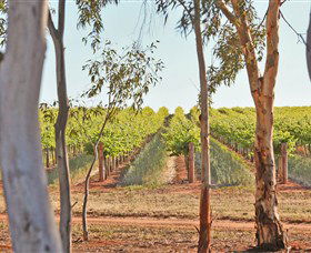 Trentham Estate Winery - eAccommodation 4