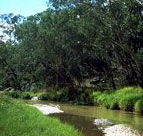 Salvator Rosa Section - Carnarvon National Park - eAccommodation