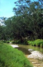 Salvator Rosa Section - Carnarvon National Park - eAccommodation 0