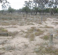 Culgoa Connellys track