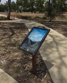Wallam Creek, Bollon - eAccommodation 1