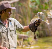 Territory Wildlife Park - eAccommodation