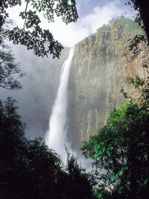 Wallaman Falls, Girringun National Park - eAccommodation 1