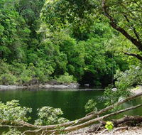 Broadwater Abergowrie State Forest - eAccommodation