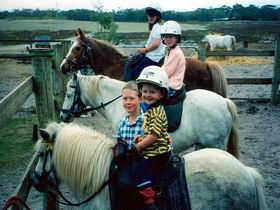 Limestone Coast Horseriding - eAccommodation 1
