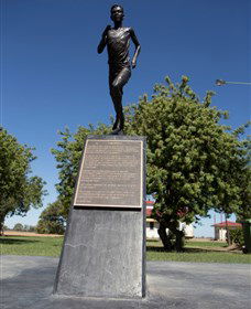 Railway Park Dirranbandi - eAccommodation 1