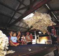 Shear Outback the Australian Shearers Hall of Fame - eAccommodation