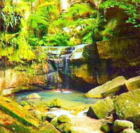 Carnarvon Gorge Carnarvon National Park - eAccommodation