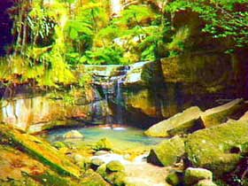 Carnarvon Gorge, Carnarvon National Park - eAccommodation 0