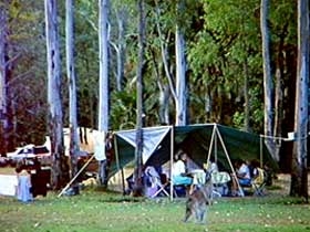 Carnarvon Gorge, Carnarvon National Park - eAccommodation 2