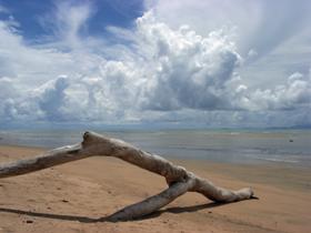 Toolakea Beach - eAccommodation 0