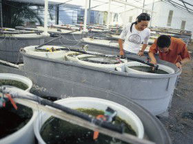 James Cook University Of North Queensland - eAccommodation 0