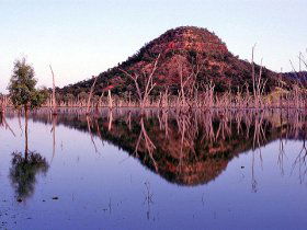 Nuga Nuga National Park And Lake Nuga Nuga - eAccommodation 3