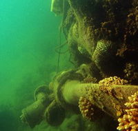 Wreck Diving at Magnetic Island - eAccommodation