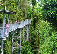 Mamu Tropical Skywalk - eAccommodation