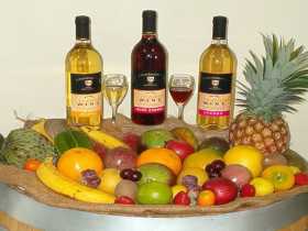 De Brueys Boutique Wines And Functions Venue - eAccommodation 0
