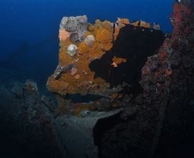 Lady Bowen Dive Site - eAccommodation 0