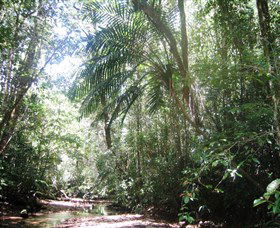 Mount Lewis National Park - eAccommodation 0