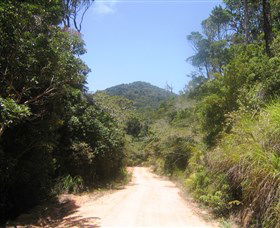 Mount Lewis National Park - eAccommodation 2