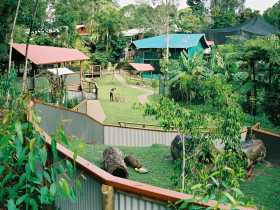 Kuranda Koala Gardens - eAccommodation 1