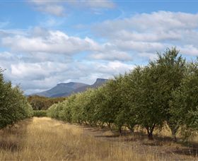 Red Rock Olives - eAccommodation 1