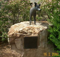 Dingo Statue - eAccommodation