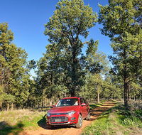 Forest drive - eAccommodation