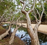 Oyala Thumotang National Park CYPAL - eAccommodation