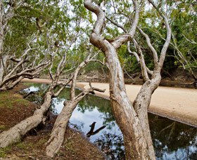Oyala Thumotang National Park (CYPAL) - eAccommodation 0