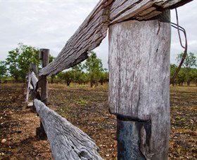 Oyala Thumotang National Park (CYPAL) - eAccommodation 1