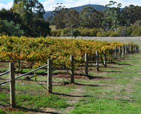 Mountainside Wines - eAccommodation 1