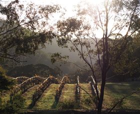 Mountainside Wines - eAccommodation 3
