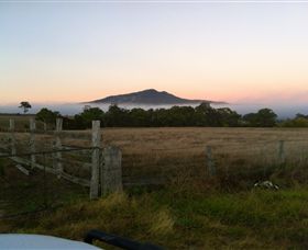 Mountainside Wines - eAccommodation 2
