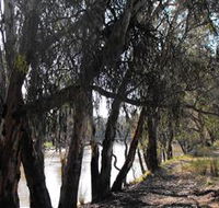 Mia Forest Drives Narrandera - eAccommodation