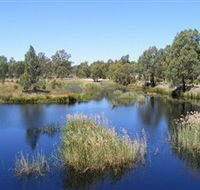 Narrandera Wetlands - eAccommodation