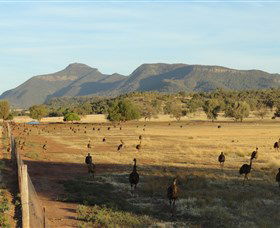 Tooraweenah NSW eAccommodation