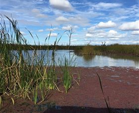 Gwydir Wetlands - eAccommodation 0