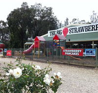 The Big Strawberry - eAccommodation